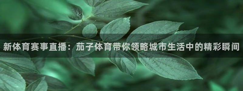 鲸鱼体育在线：新体育赛事直播：茄子体育带你领略城市生活中的精彩瞬间