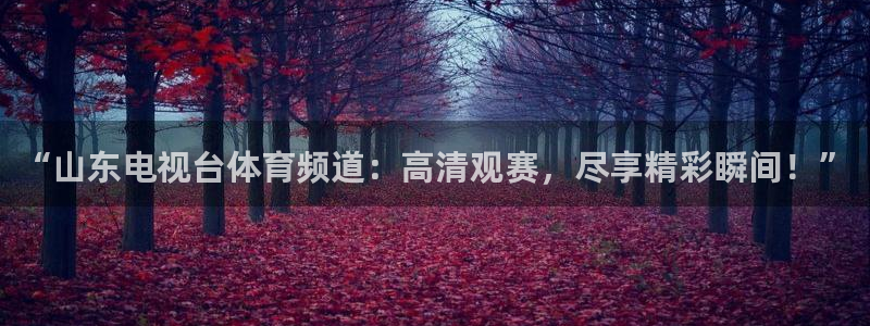 jytv01鲸鱼体育直播：“山东电视台体育频道：高清观赛，尽享精彩瞬间！”