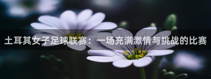 鲸鱼体育免费直播：土耳其女子足球联赛：一场充满激情与挑战的比赛