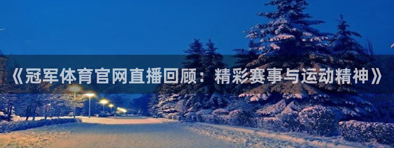 nba鲸鱼体育：《冠军体育官网直播回顾：精彩赛事与运动精神》