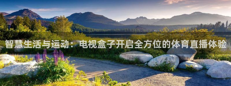 鲸鱼体育app官网版：智慧生活与运动：电视盒子开启全方位的体育直播体验