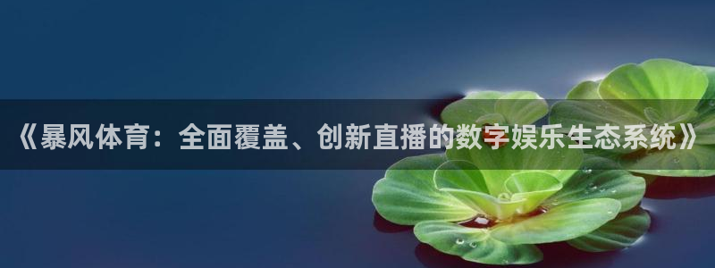 鲸鱼体育免费直播nba：《暴风体育：全面覆盖、创新直播的数字娱乐生态系统》