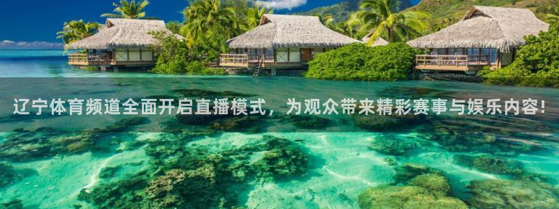 jytv01鲸鱼体育直播：辽宁体育频道全面开启直播模式，为观众带来精彩赛事与娱乐内容!