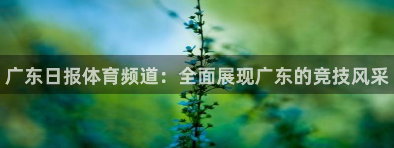鲸鱼体育直播在线观看：广东日报体育频道：全面展现广东的竞技风采