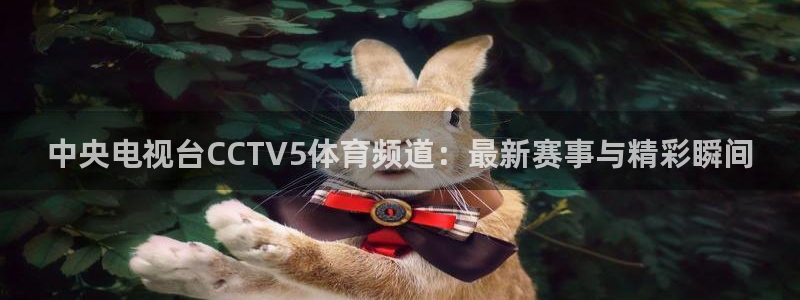 鲸鱼体育怎么免费看：中央电视台CCTV5体育频道：最新赛事与精彩瞬间