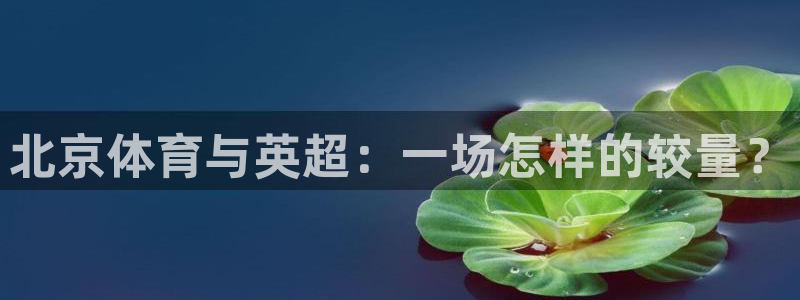 鲸鱼体育免费观看高清：北京体育与英超：一场怎样的较量？