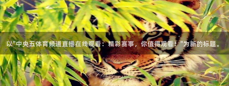 鲸鱼体育免费版：以\
