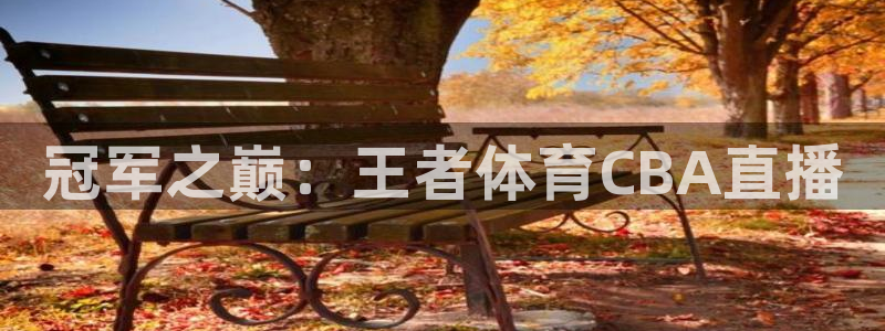鲸鱼体育免费观看：冠军之巅：王者体育CBA直播